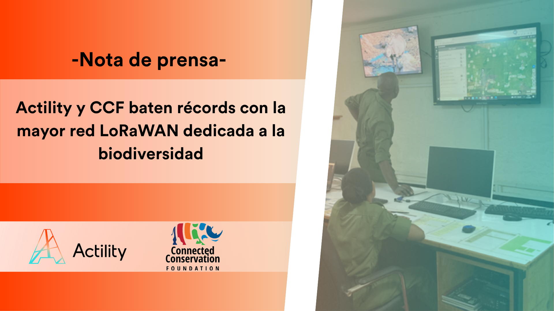 Actility y CCF baten récords con la mayor red LoRaWAN dedicada a la biodiversidad