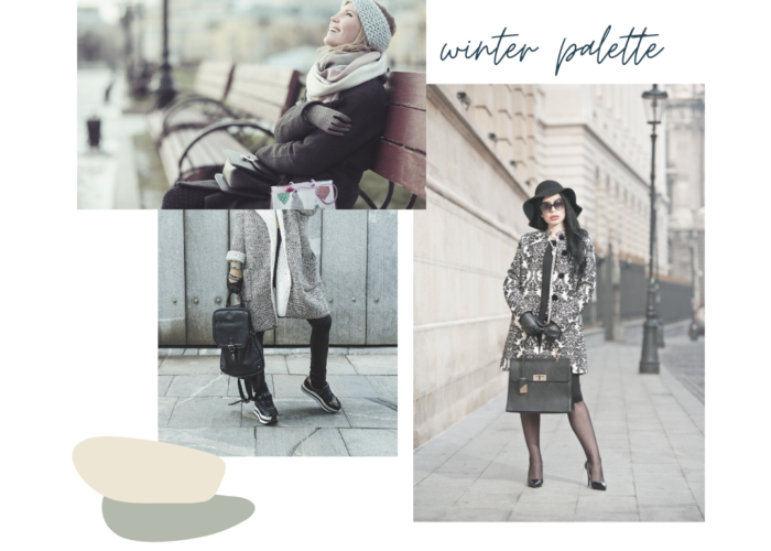 Winter Palette Mood Board